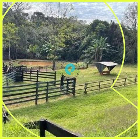 Haras para alugar em Rolândia, Parque Industrial Floresta, com 4 quartos, com 48400 m²